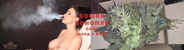 шишки Балахна