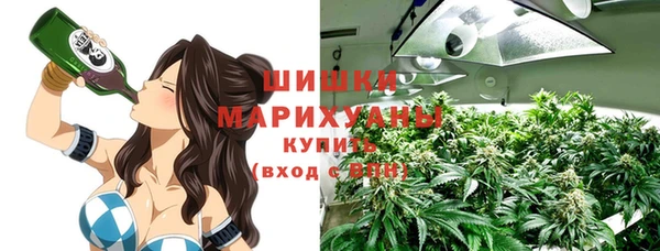 шишки Балахна